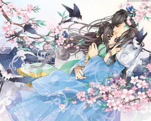 大菠萝导航福建官方导